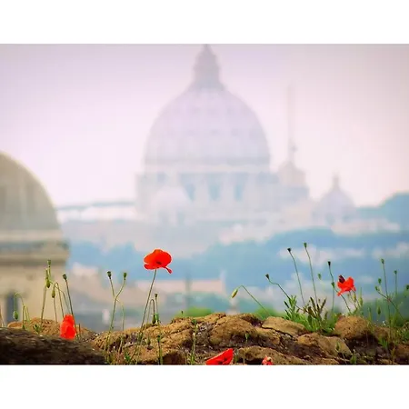 Appartamento Luxury - Vicolo Palle